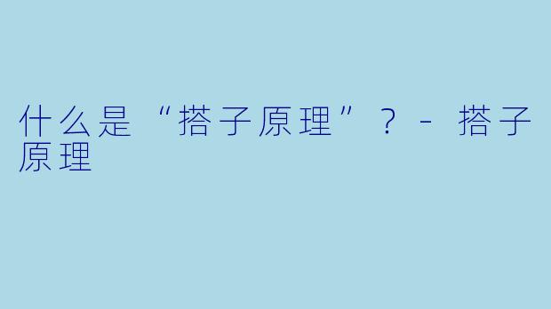 什么是“搭子原理”？-搭子原理