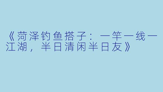 《菏泽钓鱼搭子：一竿一线一江湖，半日清闲半日友》