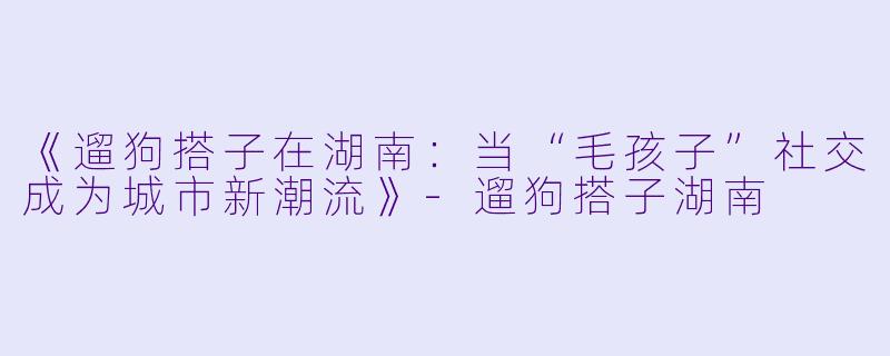 《遛狗搭子在湖南：当“毛孩子”社交成为城市新潮流》-遛狗搭子湖南
