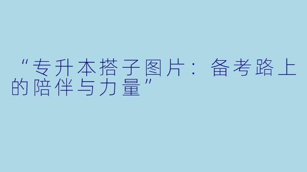 “专升本搭子图片：备考路上的陪伴与力量”