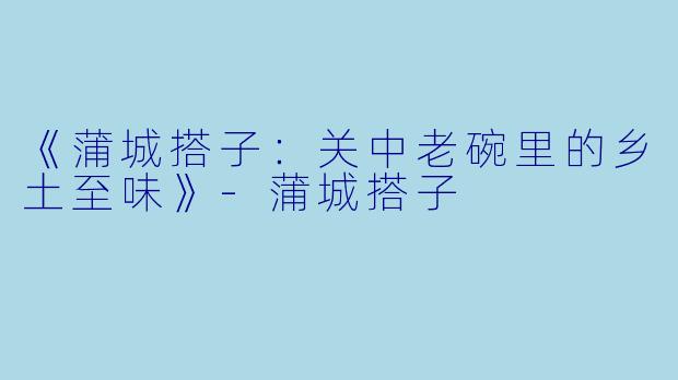 《蒲城搭子：关中老碗里的乡土至味》-蒲城搭子