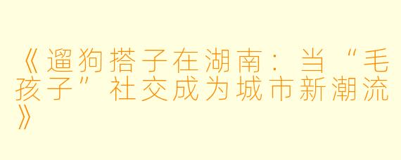 《遛狗搭子在湖南：当“毛孩子”社交成为城市新潮流》