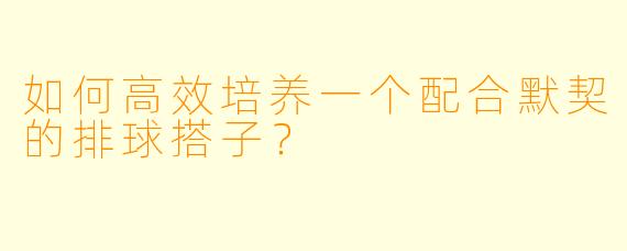 如何高效培养一个配合默契的排球搭子？