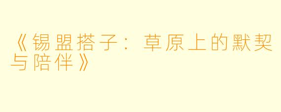 《锡盟搭子：草原上的默契与陪伴》