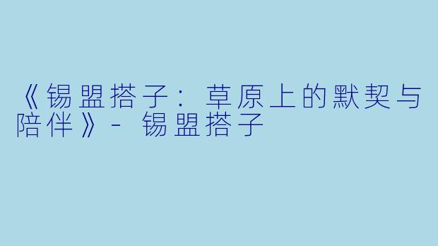《锡盟搭子：草原上的默契与陪伴》-锡盟搭子
