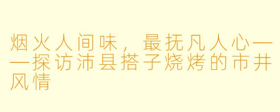 烟火人间味，最抚凡人心——探访沛县搭子烧烤的市井风情