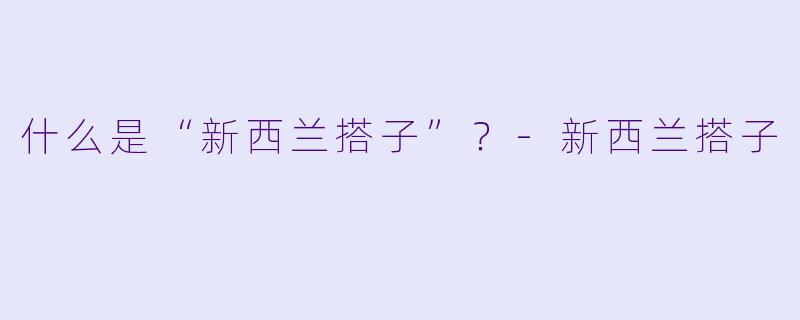 什么是“新西兰搭子”？-新西兰搭子