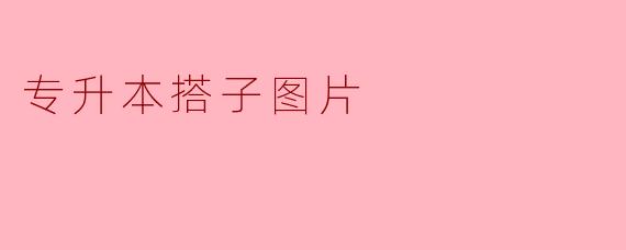 专升本搭子图片