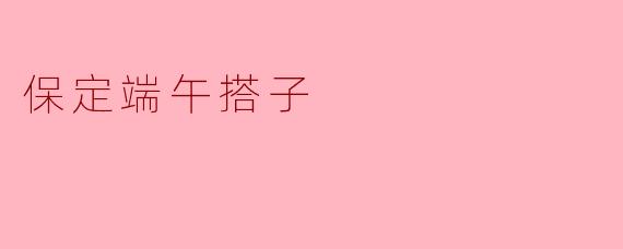 保定端午搭子