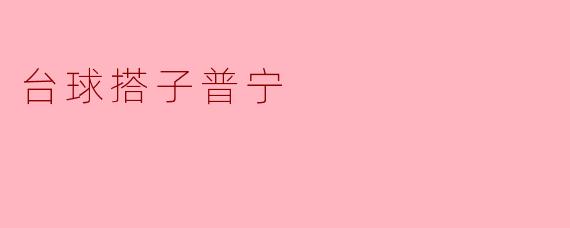 台球搭子普宁