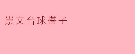 崇文台球搭子