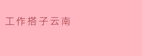 工作搭子云南