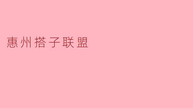 惠州搭子联盟