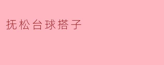 抚松台球搭子
