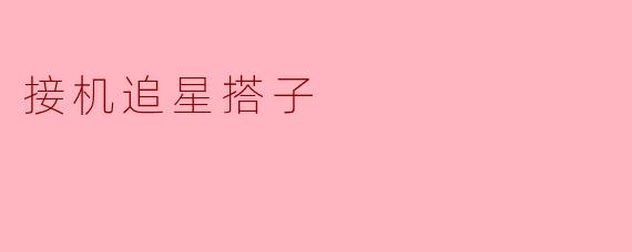 接机追星搭子