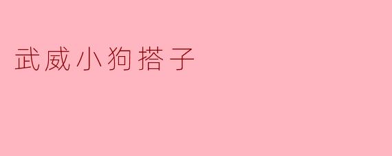 武威小狗搭子