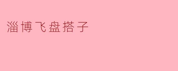 淄博飞盘搭子