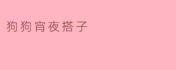狗狗宵夜搭子
