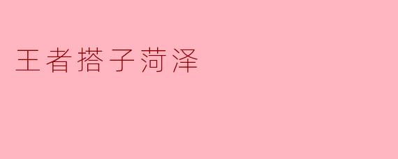 王者搭子菏泽