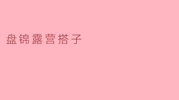 盘锦露营搭子