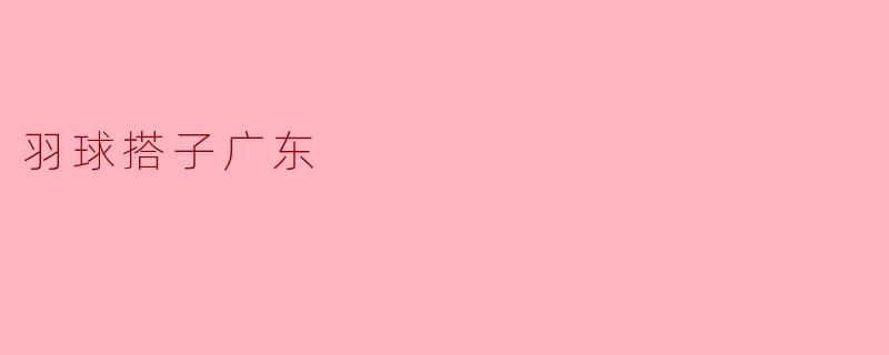 羽球搭子广东