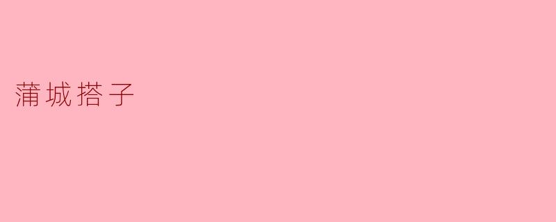 蒲城搭子