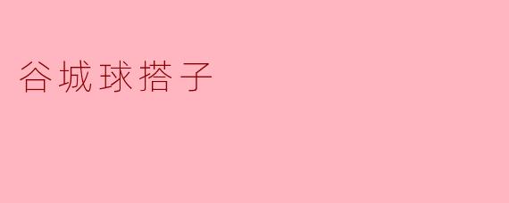 谷城球搭子