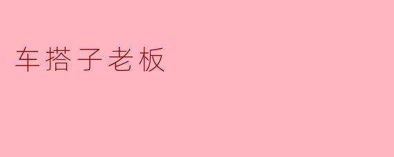 车搭子老板