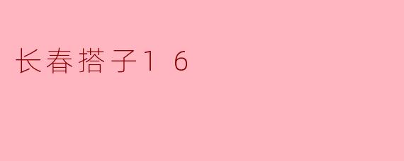 长春搭子16
