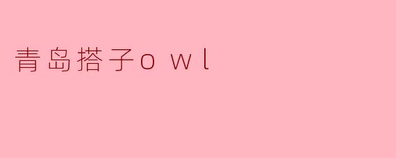 青岛搭子owl