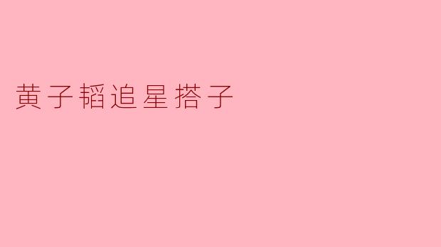 黄子韬追星搭子