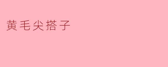黄毛尖搭子