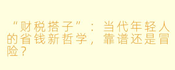 “财税搭子”：当代年轻人的省钱新哲学，靠谱还是冒险？