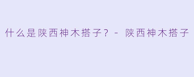 什么是陕西神木搭子？-陕西神木搭子