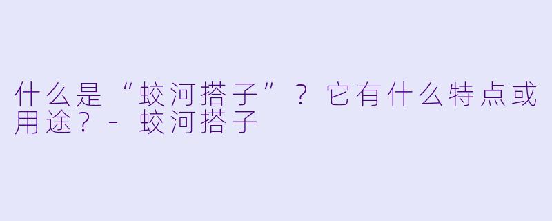 什么是“蛟河搭子”？它有什么特点或用途？-蛟河搭子