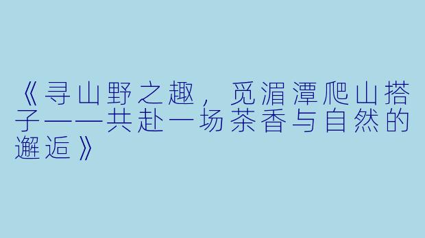 《寻山野之趣，觅湄潭爬山搭子——共赴一场茶香与自然的邂逅》