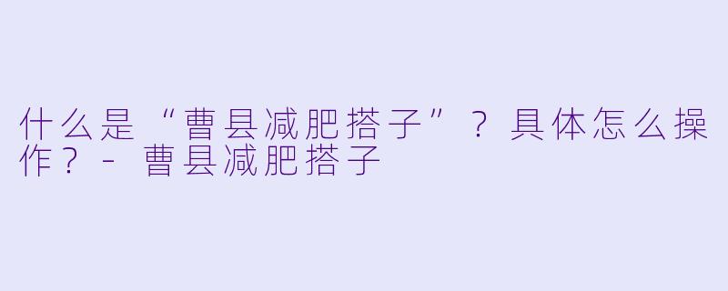 什么是“曹县减肥搭子”？具体怎么操作？-曹县减肥搭子