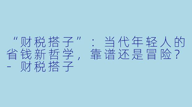“财税搭子”：当代年轻人的省钱新哲学，靠谱还是冒险？-财税搭子