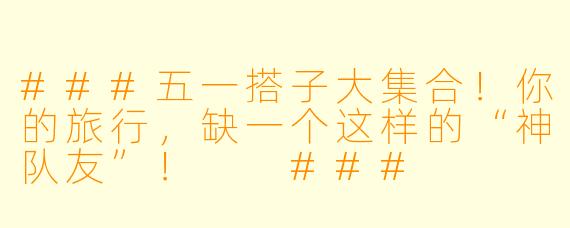 ###五一搭子大集合！你的旅行，缺一个这样的“神队友”！

###