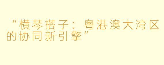 “横琴搭子：粤港澳大湾区的协同新引擎”