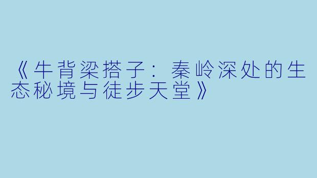 《牛背梁搭子：秦岭深处的生态秘境与徒步天堂》