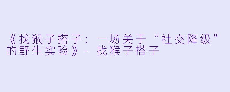 《找猴子搭子：一场关于“社交降级”的野生实验》-找猴子搭子