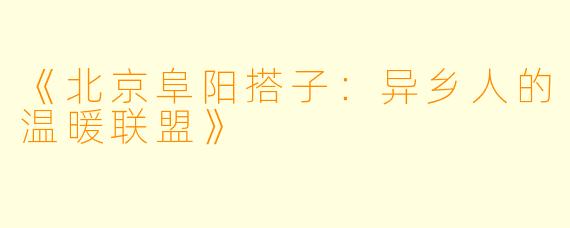 《北京阜阳搭子：异乡人的温暖联盟》