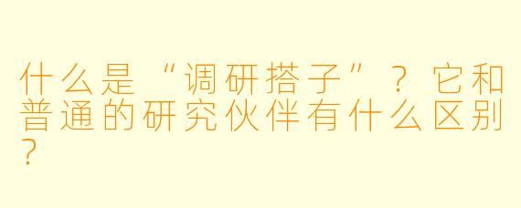 什么是“调研搭子”？它和普通的研究伙伴有什么区别？