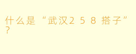 什么是“武汉258搭子”？