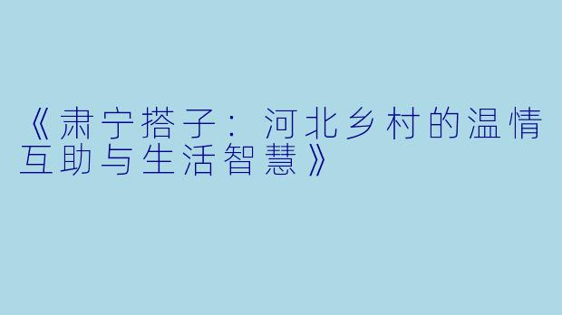 《肃宁搭子：河北乡村的温情互助与生活智慧》