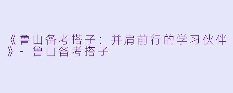 《鲁山备考搭子：并肩前行的学习伙伴》-鲁山备考搭子
