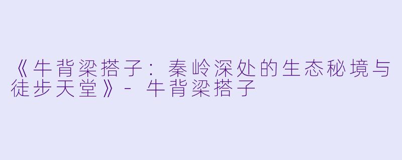 《牛背梁搭子：秦岭深处的生态秘境与徒步天堂》-牛背梁搭子