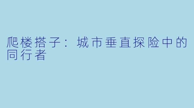 爬楼搭子：城市垂直探险中的同行者