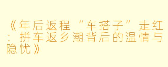 《年后返程“车搭子”走红：拼车返乡潮背后的温情与隐忧》